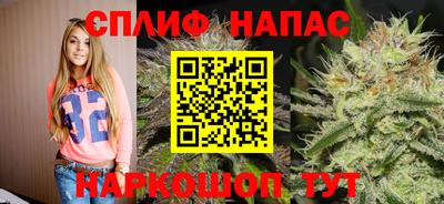 сатива Наро-Фоминск