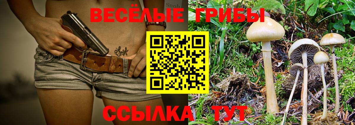 Псилоцибиновые грибы Psilocybine cubensis  Вход с VPN  Псилоцибиновые грибы Cubensis  Углич 
