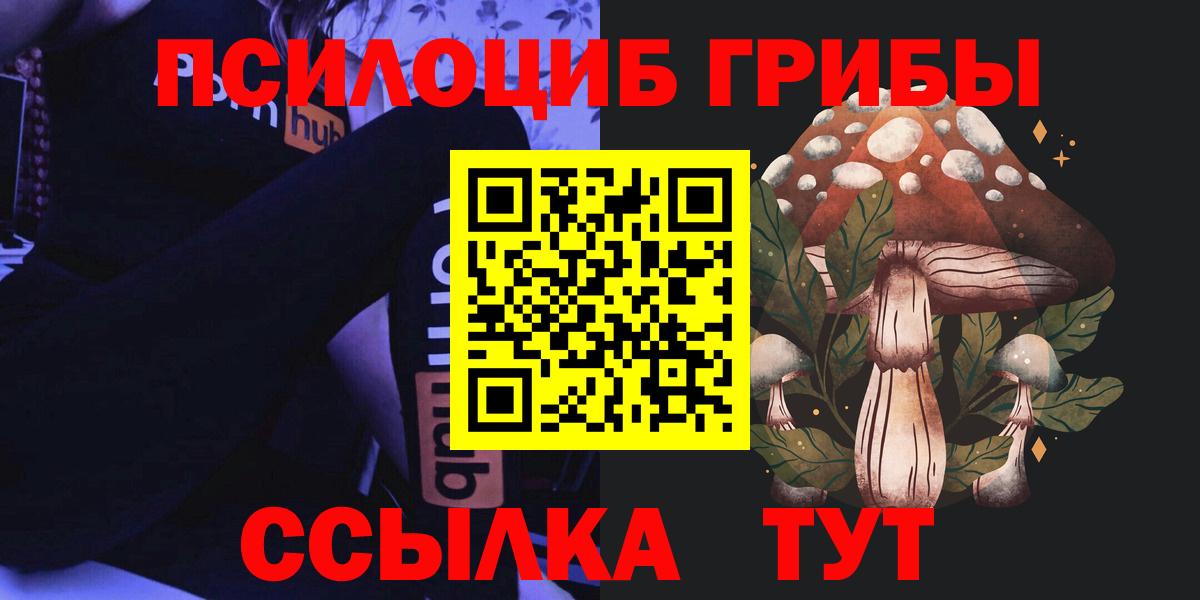 Галлюциногенные грибы Cubensis Углич